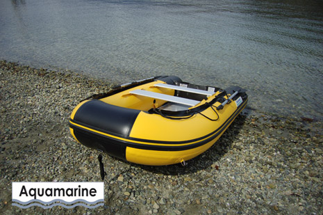 11' INFLATABLE BOAT FISH